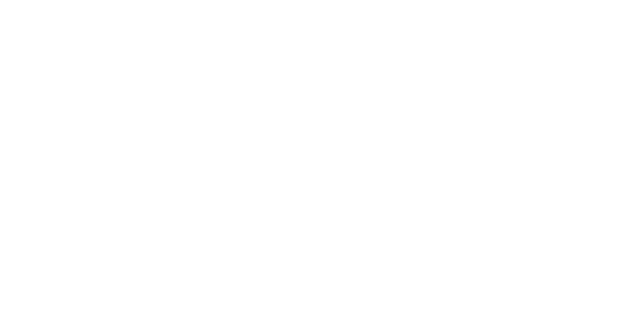 Peplink