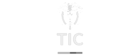 Tic