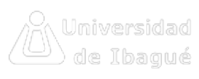 Universidad Ibague