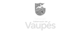 Vaupes